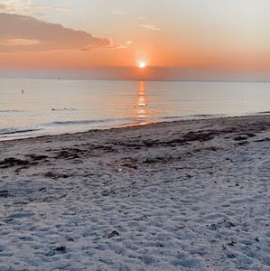 Meet your Posher, Kira